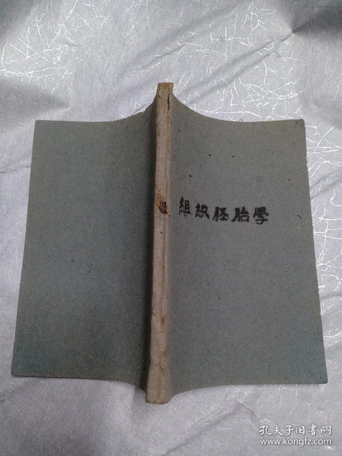 点击查看原图 组织胚胎学