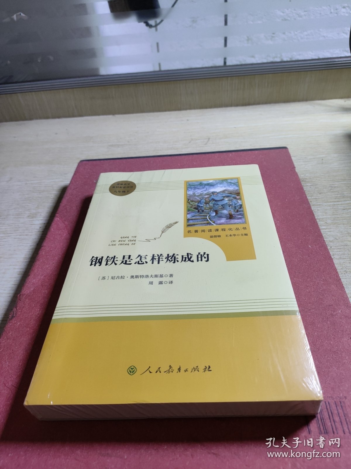 统编语文教材配套阅读 八年级下：钢铁是怎样炼成的/名著阅读课程化丛书