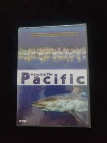 光盘DVD：Miracle in The Pacific  盒装 全新未拆封