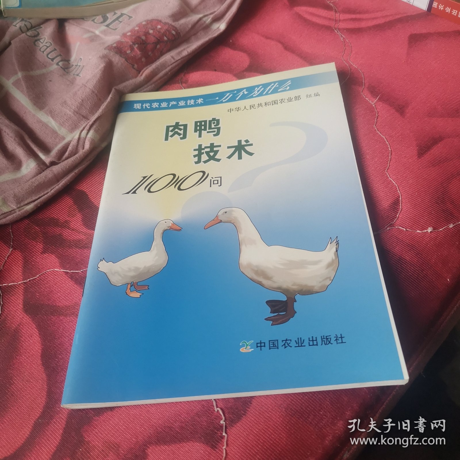肉鸭技术100问