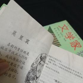 外国名家传记故事丛书：文学家（上下）（见图）