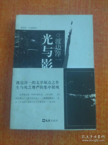 光与影：光与影，宣判死期，猴子的反抗和蔷薇的联想