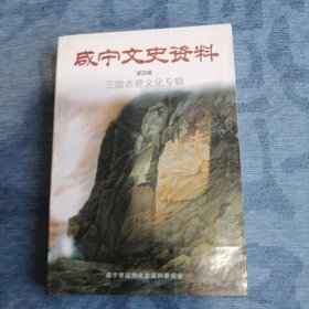 咸宁文史资料第四辑