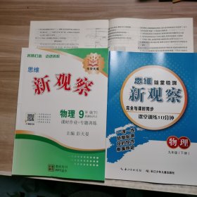 2024新观察：物理 九年级下册【含副本/及参考答案如图】教师用书