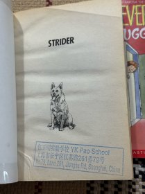 【英文】【儿童读物】STRIDER + SOCKS + Muggie Maggie（插画本） 3本合售 品相自鉴
