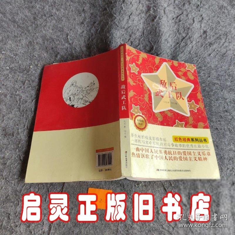 无障碍阅读红色经典系列丛书：敌后武工队