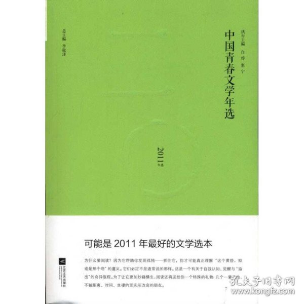 【正版书籍】中国青春文学年选