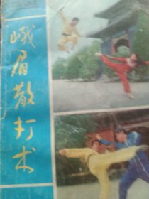 峨眉散打术