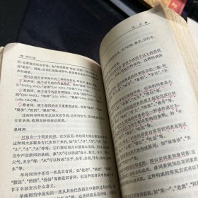 小学语文教师手册