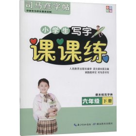 正版 课课练 6年级 下册 司马彦 湖北教育出版社