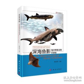 生命奥秘丛书·海洋鱼影：海洋脊椎动物的奥秘