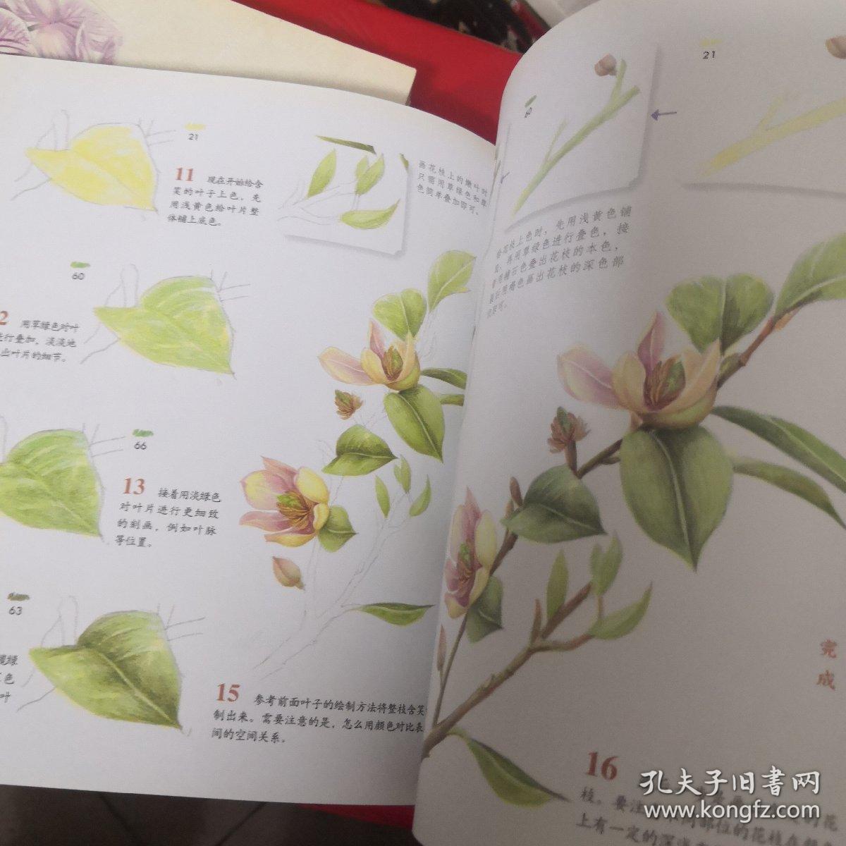 花之绘（1—2）