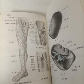 新编人体解剖图谱