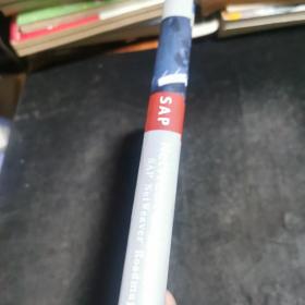 SAP NetWeaver路线图