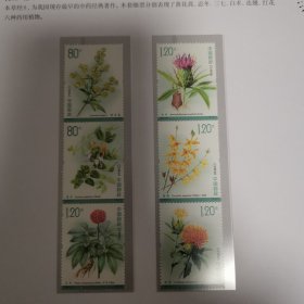 2023-20药用植物三邮票