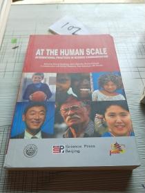 AT THE HUMAM SCALE