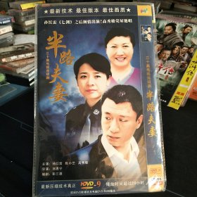 全新未拆封二碟DVD完整版《半路夫妻》孙红雷，陈小艺，高秀敏