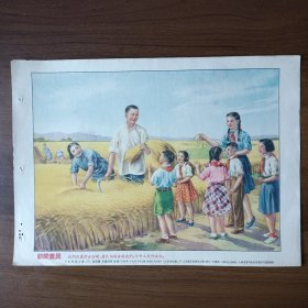 16开年画 宣传画：访问农民 少先队夏令营（三）（金雪尘、李慕白作，1955年新1版第1次印刷）
