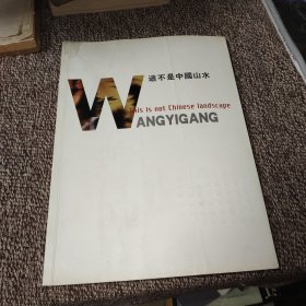 这不是中国山水： 王易罡教授油画集（签名本）