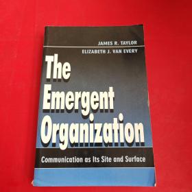 THE EMERGENT ORGANIZATION