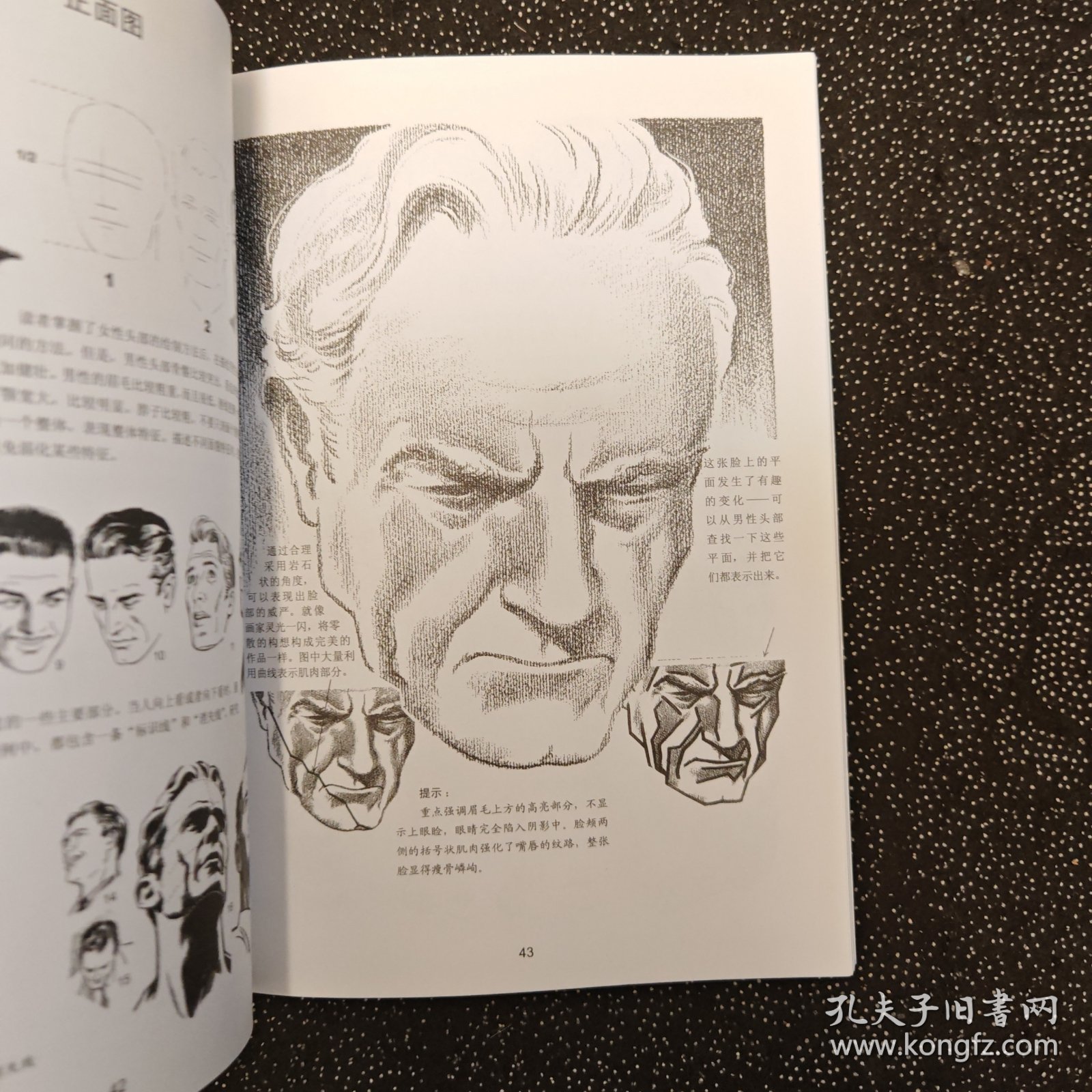 世界绘画经典教程
