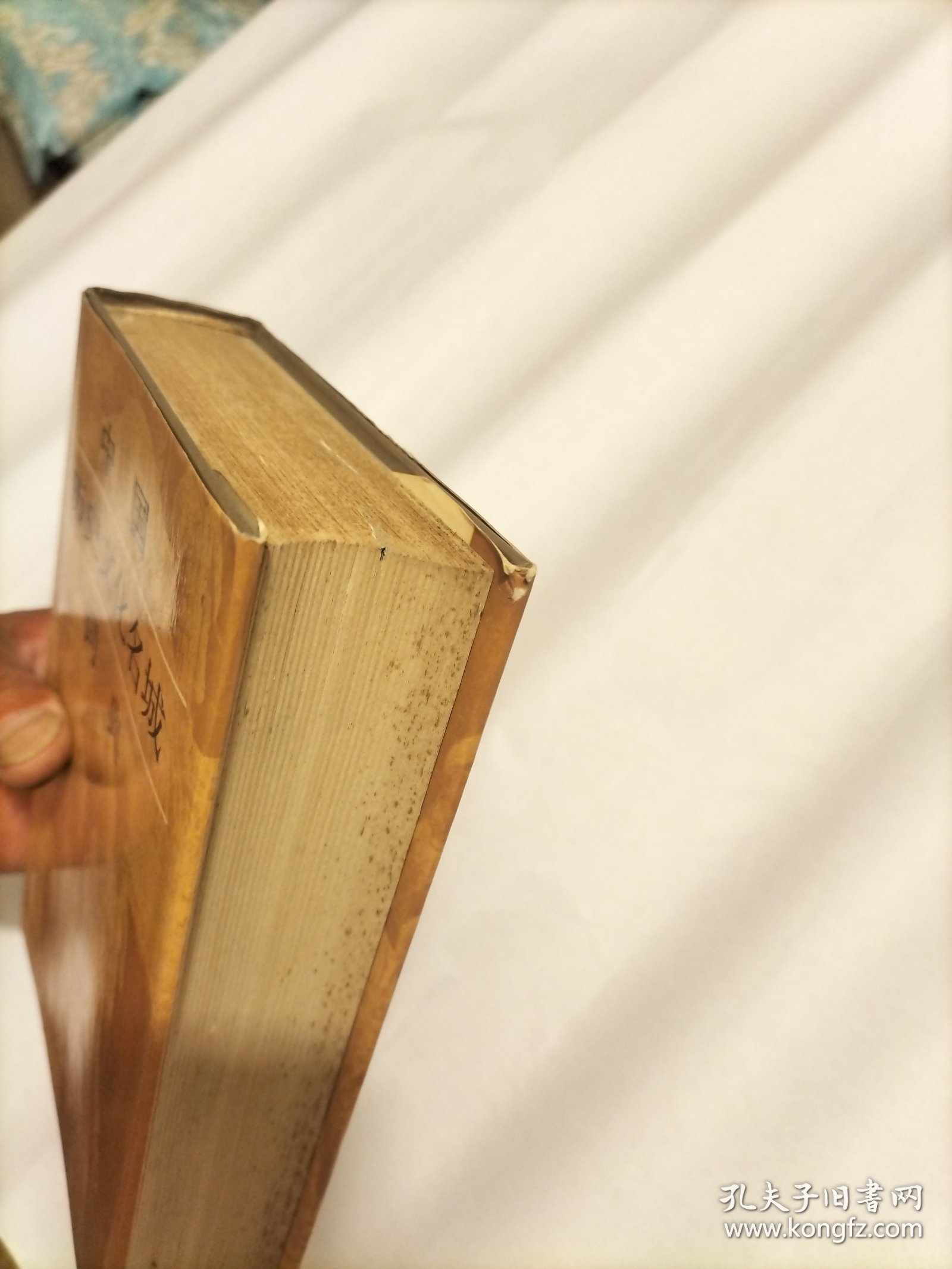 中国历史文化名城词典