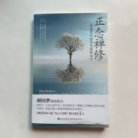 正念禅修：在喧嚣的世界中获取安宁