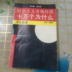 社会主义市场经济十万个为什么