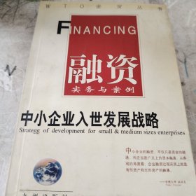 中小企业入世发展战略