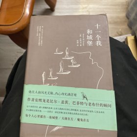 十一个我和城堡