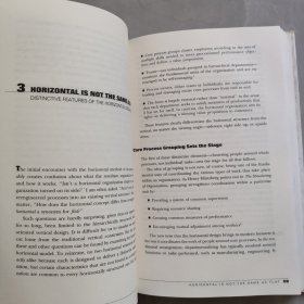 THE HORIZONTAL ORGANIZATION 横向组织