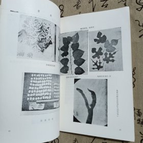 日本桑树栽培技术的见状与将来，四川省桑树品种资源资料汇编