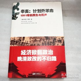 辛亥·计划外革命：1911年的民生与民声