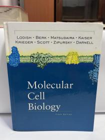 Molecular Cell Biology（精装）
