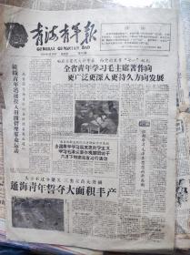 青海青年报1960年6月10日