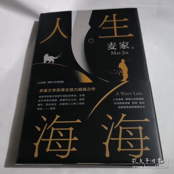 麦家：人生海海（茅盾文学奖得主麦家2019年强力之作）