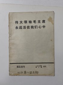 湖北青年 1976 10 增刊 毛主席逝世专辑