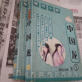 中国龙1～2册完