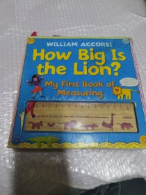 HOW BIG IS THE LION 英文原版绘本