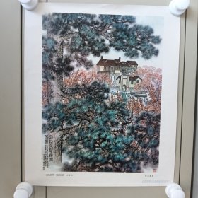 劲松挺翠 梅园长春