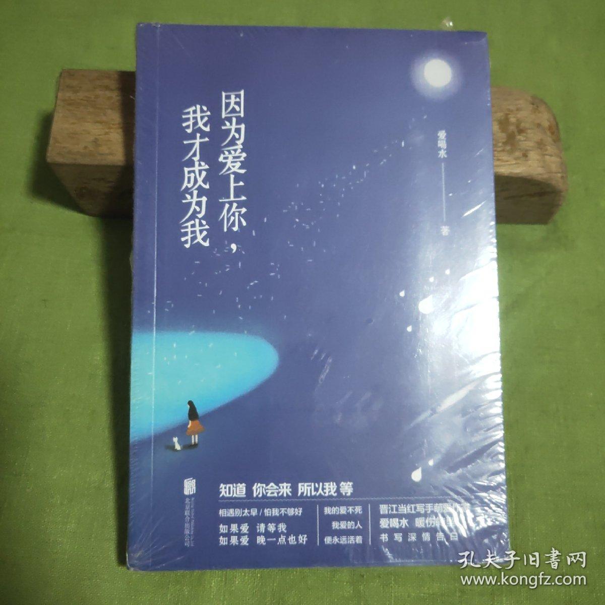 因为爱上你,我才成为我(未拆封)