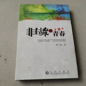 非主流的青春：别样青春气息的旅程