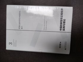 中国的新型非正规经济：实践与理论未开封