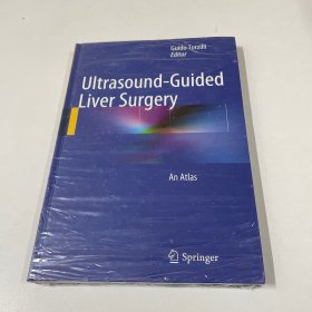 UItasound- Guided Liver Surgery