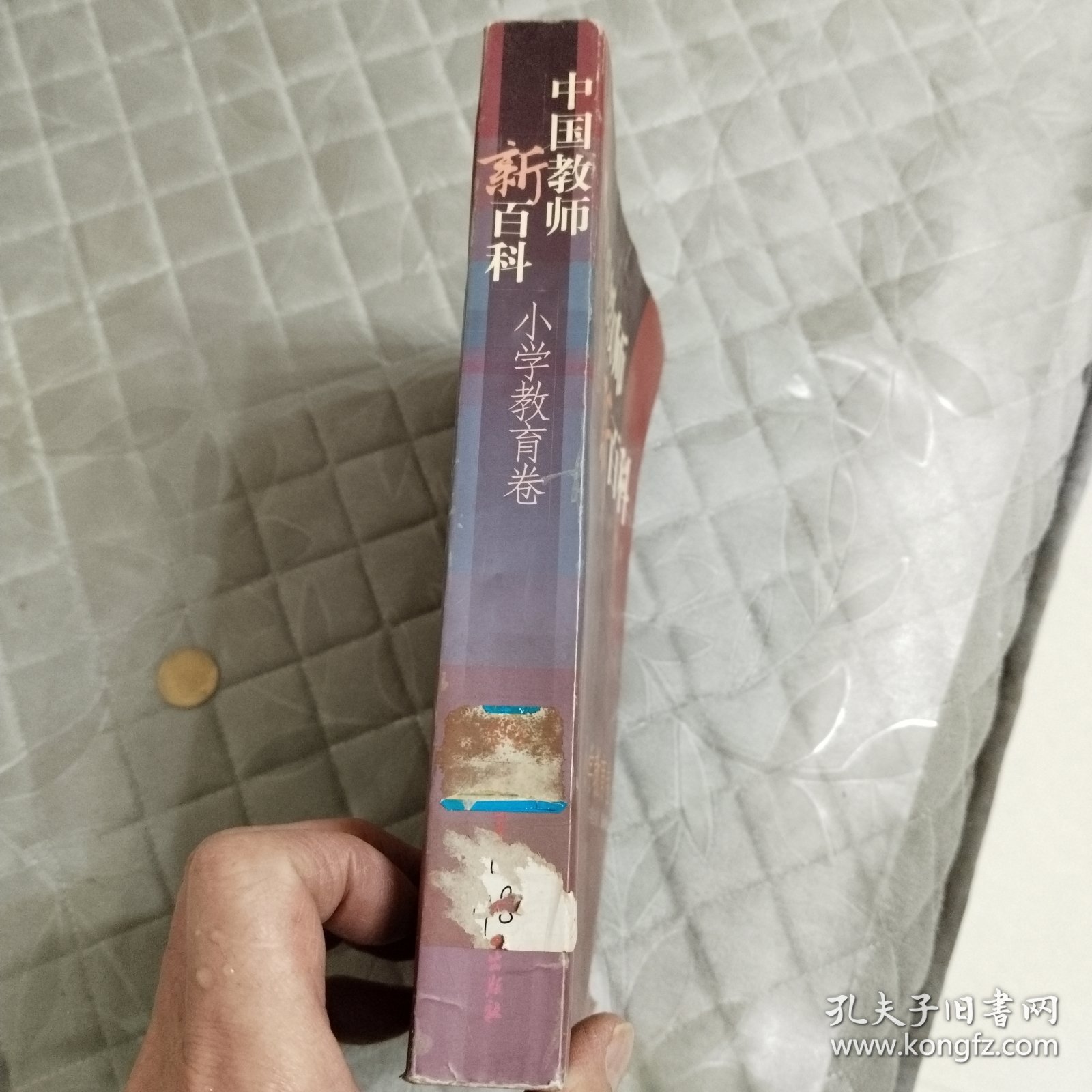 中国教师新百科(小学教育卷)