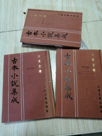 古本小说集成 大清全传（上中下）三册全 馆藏书未借阅 自然旧实物如图