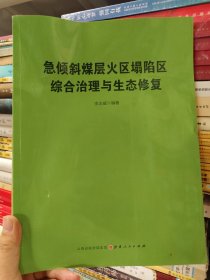 急倾斜煤层火区塌陷区综合治理与生态修复