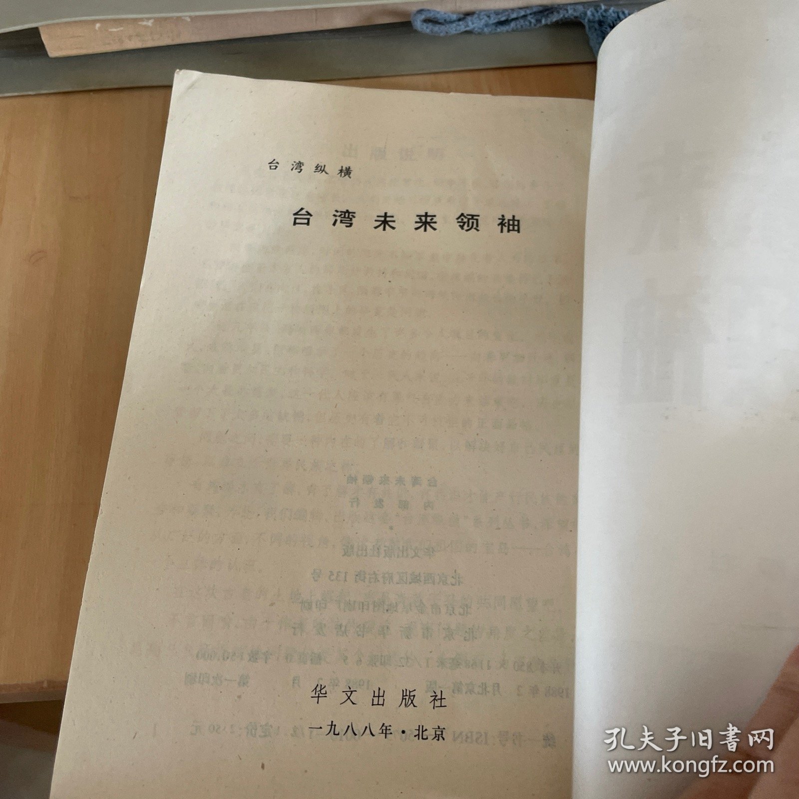 台湾纵横台湾未来领袖