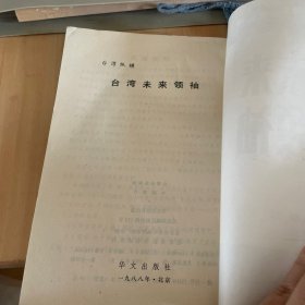 台湾纵横台湾未来领袖