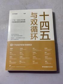 十四五与双循环:17位一线经济学家深度解读新发展格局（国内大循环国内国际双循环）